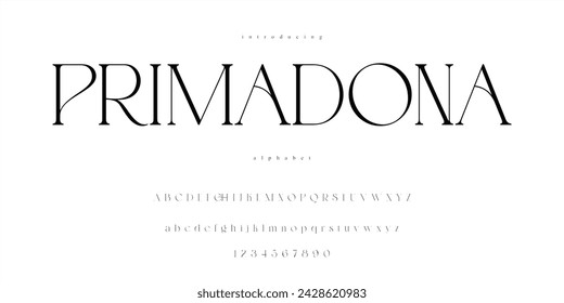  Elegant Serif Font Roman Alphabet Typeface Primadona