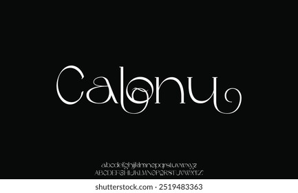 Elegant serif typeface combined with a classy and modern style