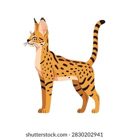 Elegant Serval Wild Cat Illustration with Spotted Fur and Large Ears Isolated on White Background