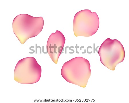 Elegant set of beautiful rose petals. Can be used for birthday cards, wedding albums or web design.