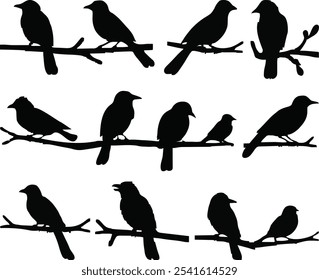 Elegant set of Birds on branch silhouette