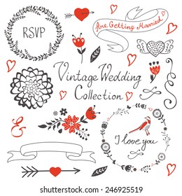 Elegant set of grahic design elements. Vector illustration