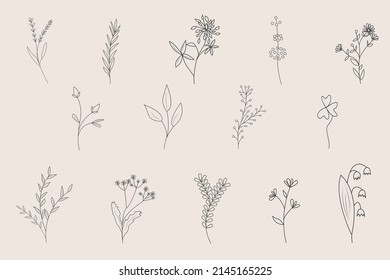 Elegant set of herbs and wildflowers. Hand drawn floral branch. Vintage wedding botany. Vector illustration of plants, grass and flowers in a rustic style.