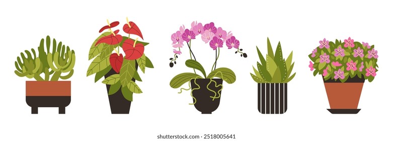 Um conjunto elegante de ilustrações vetoriais com flores em vasos de flores: aloé, orchid, anthurium, azalea, cactus. Inclui pétalas detalhadas e folhas verdes