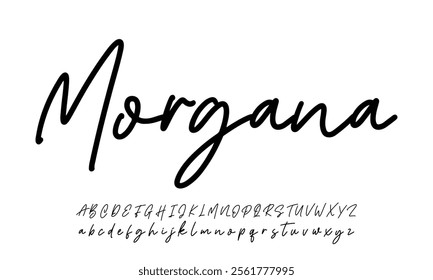 Elegant Signature Font. Best Alphabet Beautiful Calligraphy Signature Font
