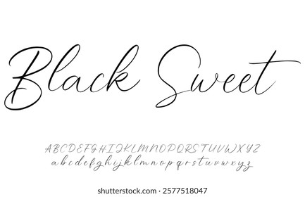 Elegant Signature Font. Best Alphabet Beautiful Calligraphy Signature