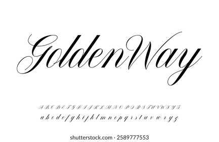 Elegant Signature Font. Best Alphabet Beautiful Calligraphy Signature Font lettering