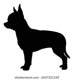 Silhueta elegante de um chihuahua mostrando a postura. A silhueta destaca o gracioso contorno do chihuahua