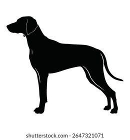 Elegant silhouette of a dog. The dog stands tall, with a sleek, black coat