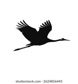 Elegant Silhouette of a Flying Crane Bird with Outstretched Wings. Nature and Wildlife Art for Stock Illustrations and Graphics.