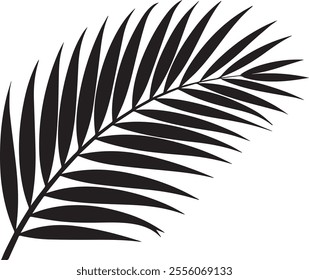 Elegant silhouette of a palm tree leaf with clean lines and tropical vibes. Perfect for nature-inspired designs, beach themes, and minimalist art projects.