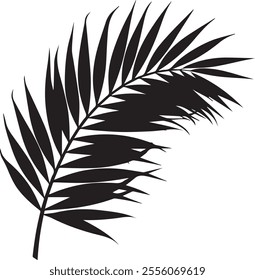 Elegant silhouette of a palm tree leaf with clean lines and tropical vibes. Perfect for nature-inspired designs, beach themes, and minimalist art projects.