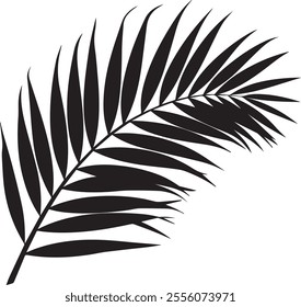 Elegant silhouette of a palm tree leaf with clean lines and tropical vibes. Perfect for nature-inspired designs, beach themes, and minimalist art projects.