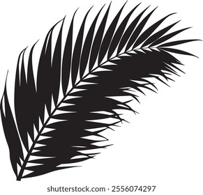 Elegant silhouette of a palm tree leaf with clean lines and tropical vibes. Perfect for nature-inspired designs, beach themes, and minimalist art projects.