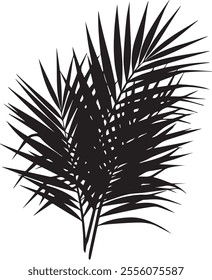 Elegant silhouette of a palm tree leaf with clean lines and tropical vibes. Perfect for nature-inspired designs, beach themes, and minimalist art projects.