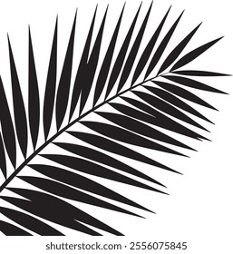 Elegant silhouette of a palm tree leaf with clean lines and tropical vibes. Perfect for nature-inspired designs, beach themes, and minimalist art projects.