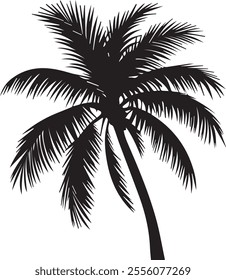 Elegant silhouette of a palm tree leaf with clean lines and tropical vibes. Perfect for nature-inspired designs, beach themes, and minimalist art projects.