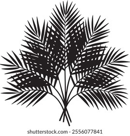 Elegant silhouette of a palm tree leaf with clean lines and tropical vibes. Perfect for nature-inspired designs, beach themes, and minimalist art projects.