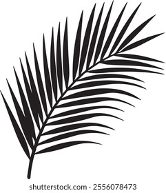 Elegant silhouette of a palm tree leaf with clean lines and tropical vibes. Perfect for nature-inspired designs, beach themes, and minimalist art projects.