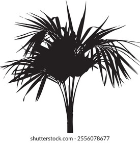 Elegant silhouette of a palm tree leaf with clean lines and tropical vibes. Perfect for nature-inspired designs, beach themes, and minimalist art projects.