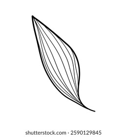 Elegant silhouettes of leaves, grass, branches create stunning visual effects for art projects.