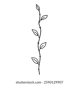 Elegant silhouettes of leaves, grass, branches create stunning visual effects for art projects.