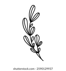 Elegant silhouettes of leaves, grass, branches create stunning visual effects for art projects.