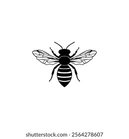 elegant and simple bee vector