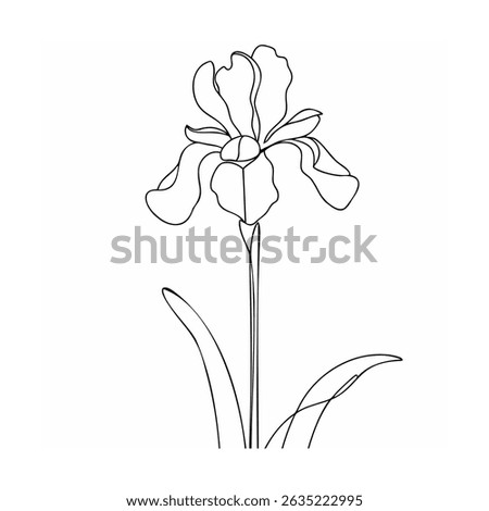 Elegant and simple black and white line drawing of a beautiful iris flower illustration