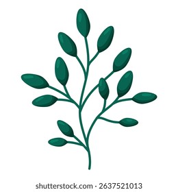 An elegant simple illustration of a green branch with elongated leaves rendered in a minimalist style. Ideal for use in greeting card designs invitations wedding decor or product packaging. This natur