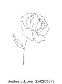 Elegant Single Line Art Flower: A Graceful Hand-Drawn Illustration of a Blooming Rose, Perfect for Minimalist Decor and Nature-Inspired Design Projects