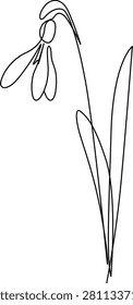 An elegant single line drawing of a blooming snowdrop, capturing its graceful curve and petal structure