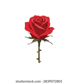 Elegant Single Red Rose Bloom with Thorny Green Stem Isolated on White Background Illustration