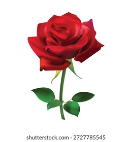 Ilustração do vetor da flor da rosa única elegante, perfeita para projetos românticos, casamento e projeto floral