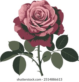 Elegant Single Rose Vector art illustration