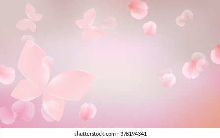 elegant soft pink color cherry flowers with butterfly, sakura background