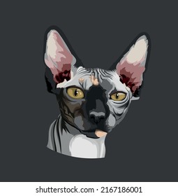 Retrato elegante del vector de la cabeza del gato Sfinx.