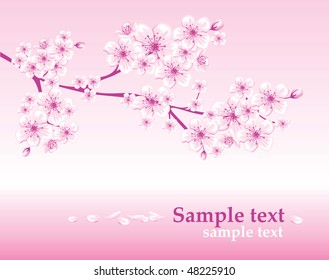 elegant spring background decorated with cherry blossoms