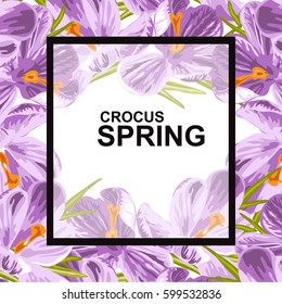 Elegant spring card with decorative crocus flowers, design element. Can be used for wedding, baby shower, mothers day, valentines day, birthday cards, invitations, greetings. Spring theme. Editable