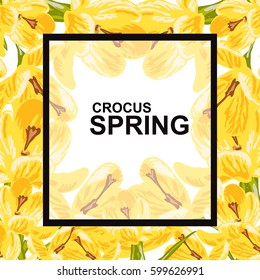 Elegant spring card with decorative crocus flowers, design element. Can be used for wedding, baby shower, mothers day, valentines day, birthday cards, invitations, greetings. Spring theme. Editable