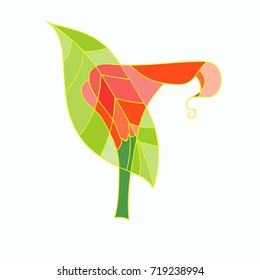 Elegant spring flower red calla lilly isolated on white background. Background image for wedding, happy birthday, March 8, mother's day. Hand drawn vector illustration