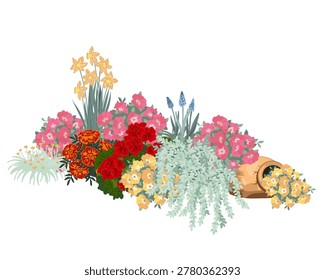 Elegant Spring garden composition with petunia flowers, narcissus, muscari, geranium, and sedum. Vector flowerbed background.