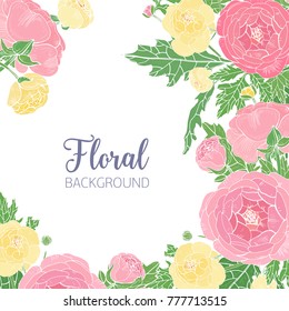 Elegant square background with pink and yellow blooming ranunculus and place for text in center. Beautiful garden flowers, buds and leaves, floral decoration. Gorgeous botanical vector illustration.
