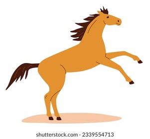 Elegant stallion rearing up isolated on white beckground.. Domesticated wild warmblood animal. Horse illustration.