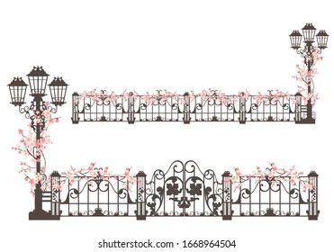 elegant streetlight and wrought iron gate with fence decorated with blooming sakura branches - spring season editable vector border design