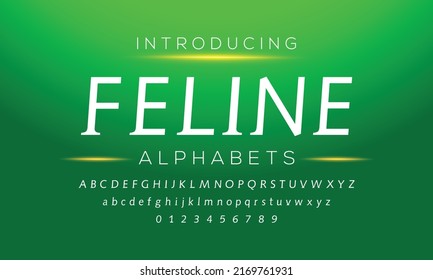 Elegant stylish font. Modern serif typeface. English alphabet. Set of letters - uppercase, lowercase and numbers. Vector illustration.