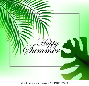 
Elegant summer background with palm tree leaves. Frame, summer design
