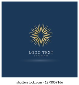 Elegant Sunburst Logo. Symbol & Icon Vector Template.