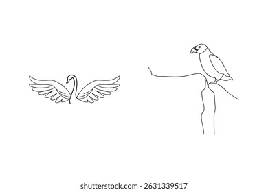 Elegant swan and bird contour line drawings against a clean white background for design