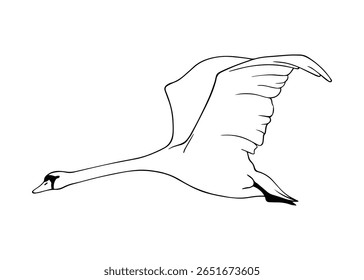 Elegant swan flying with wide open wings. Line art vector illustration minimalist style. Perfect for coloring books, posters, and elegant nature-themed design and decoration projects.